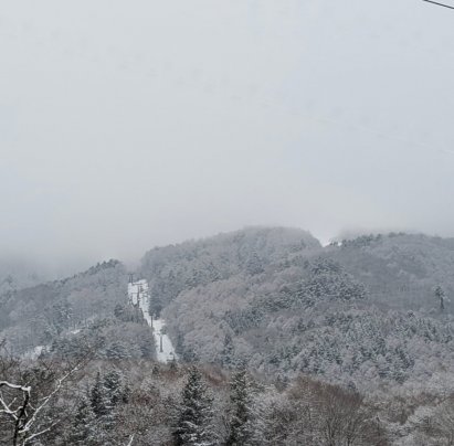 大寒波が居座ってます❄️‼️