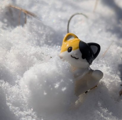 今夜も降るようです❄️