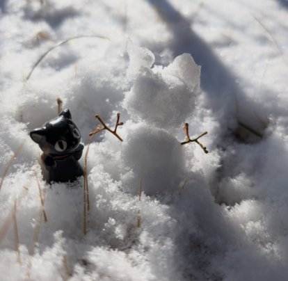 大寒波来襲ですね❄️