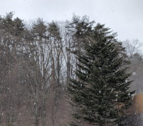 今吹雪です❄️