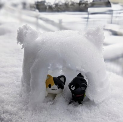 吹雪です❄️🌨️