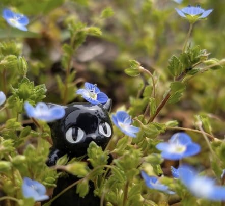 春を楽しみましょう🍀