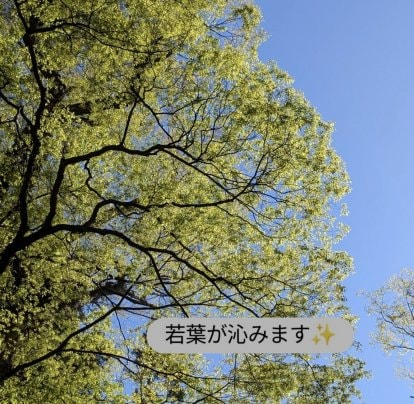 5月の風〜🌳