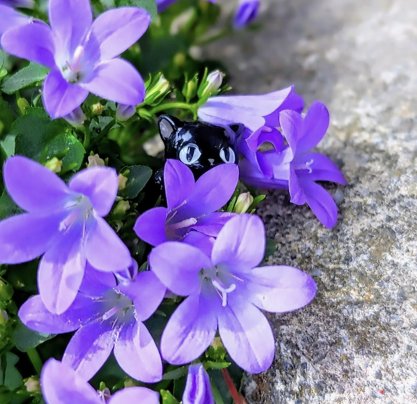梅雨入りしましたね☔️