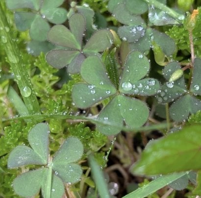 降ったり止んだり豪雨だったり☔️
