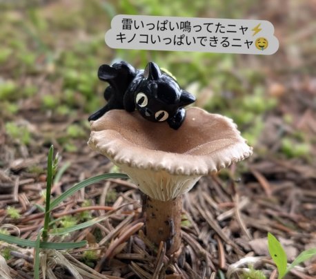 夏バテされてませんか❓