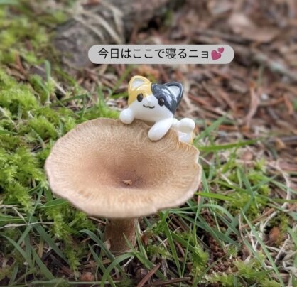 夏に嬉しい薬膳献立🥢