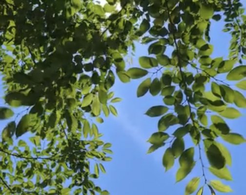 熱中症アラートが鳴り止まなそう。