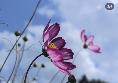 秋を楽しみましょう♪🍁
