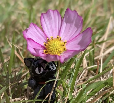 いつもありがとうございます。気功整体ヒーリングmyagoです。