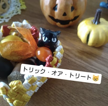 急激な寒さにご注意を