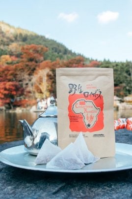 【野生ロイボス】小袋入荷のお知らせ