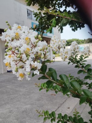 7月予約情報