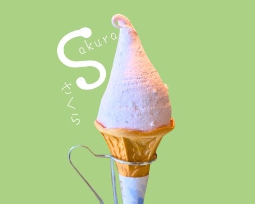 春の訪れ🌸【さくら】