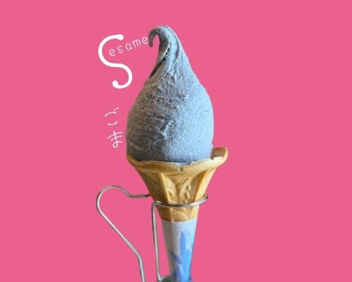 若い層の人気者✨【ごま】