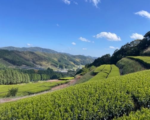 鹿児島は、今年ひと足早く梅雨入りを迎えました。