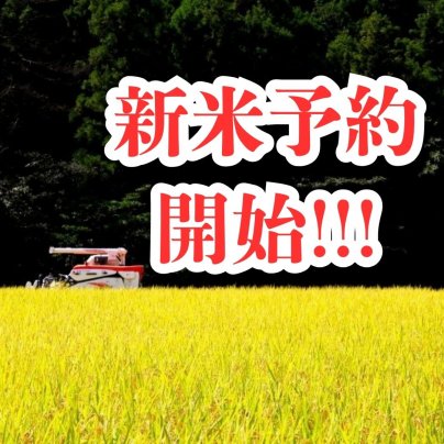 新米予約開始！坂本自然農場 穂田琉【風景をつくる米】令和7年産 お得な6％OFF・贈答用にもおすすめ