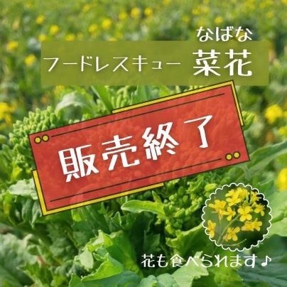 【販売終了】【フードレスキュー】千葉県鋸南町産の菜花