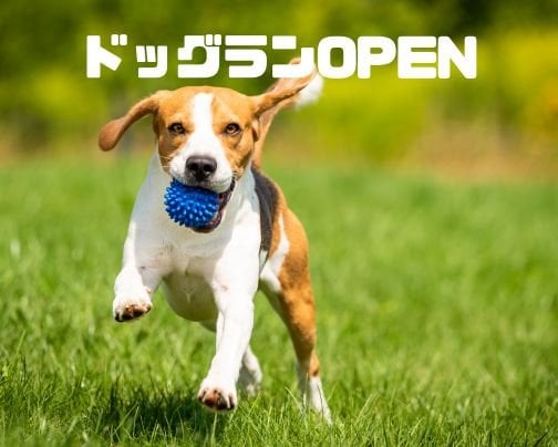 GW 犬連れ おすすめ」×「熊野古道 立ち寄りスポット