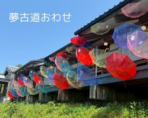 雨の街が輝く！夢古道おわせ「傘フェス」開催