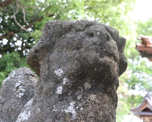 ホームページ　はじめました