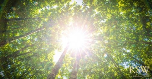 それ、まだ“本当に大事なこと”ですか？──魂の成長と、価値観のズレについて