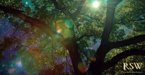 天命とは？ - 天命・使命・宿命の違い -