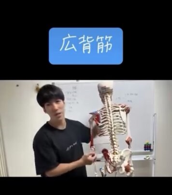 広背筋について。