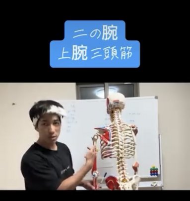 二の腕/上腕三頭筋について。