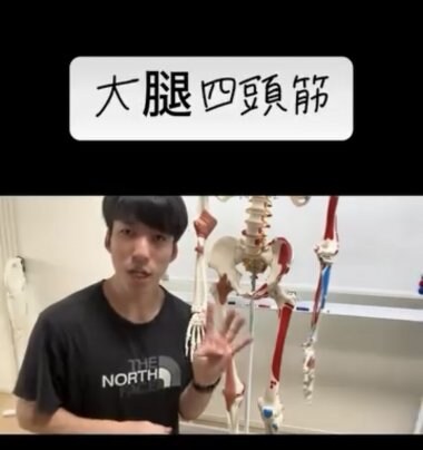 大腿四頭筋