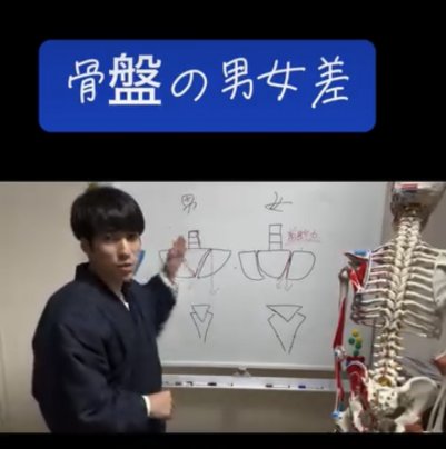骨盤の男女差