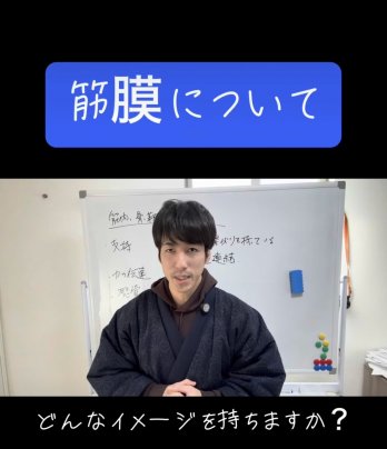 筋膜について。