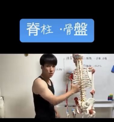 脊椎・骨盤について。