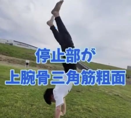 ストレス解消しませんか？