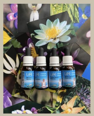 日出町のカフェ「ツワラの食卓」さんは11月6日〜8日まで食卓感謝祭を開催します。