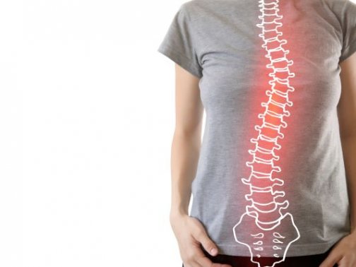 腰痛で病院に行ったけど問題なし…それでも痛い理由とは｜大田区池上整体