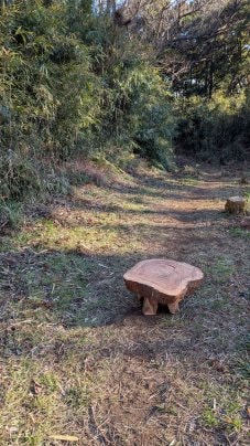 山でイスを作ったよ