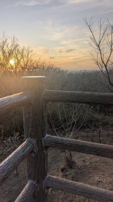 子どもが撮った写真