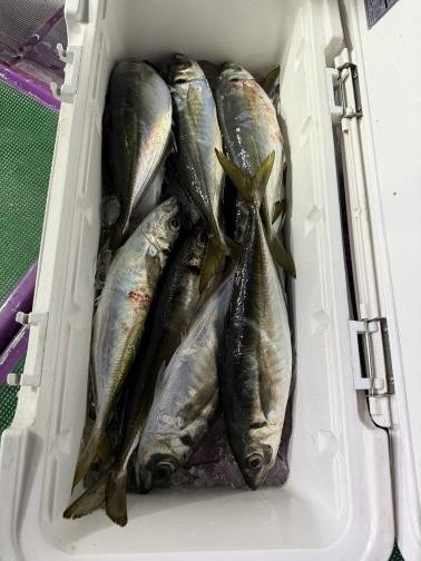 3月21日の釣果🛥️🎣🐟