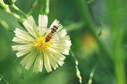 香りの奥行きについて