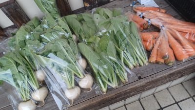 有機野菜販売のお知らせ