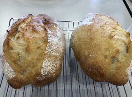 ドイツ産スペルト小麦の魅力