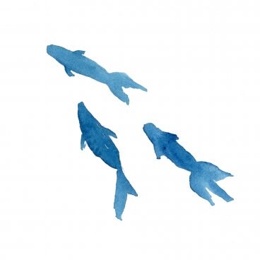 テストなこだわり