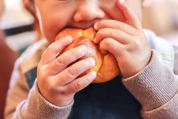 自家製酵母と薪窯焼きのパン～緑と風のダーシェンカ～