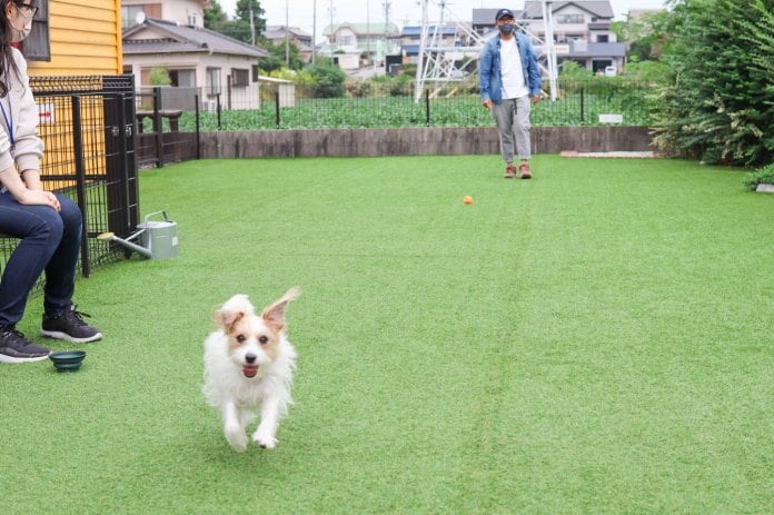 自家製酵母と薪窯焼きのパン～緑と風のダーシェンカ～