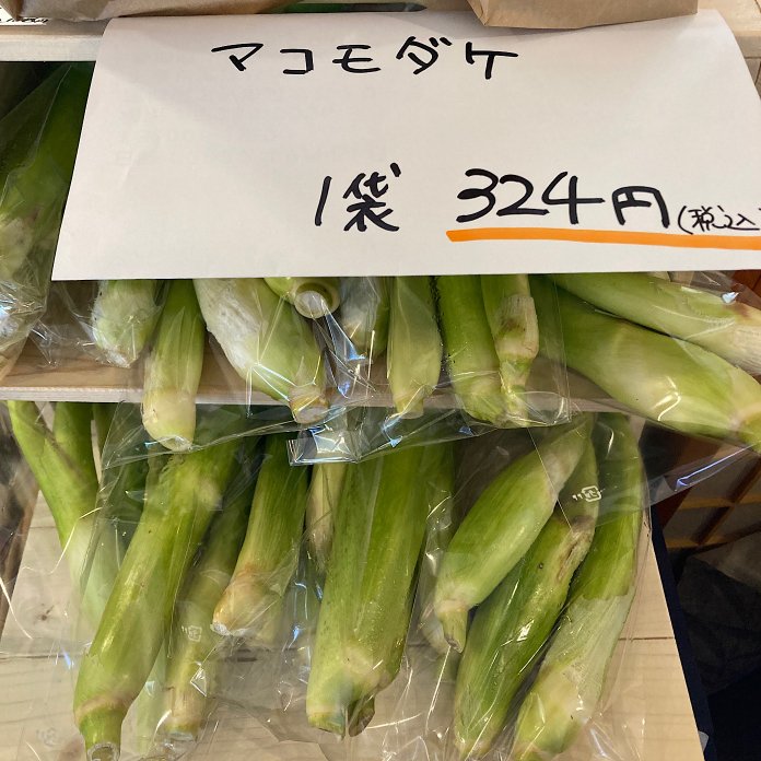 神宿る草『マコモダケ』