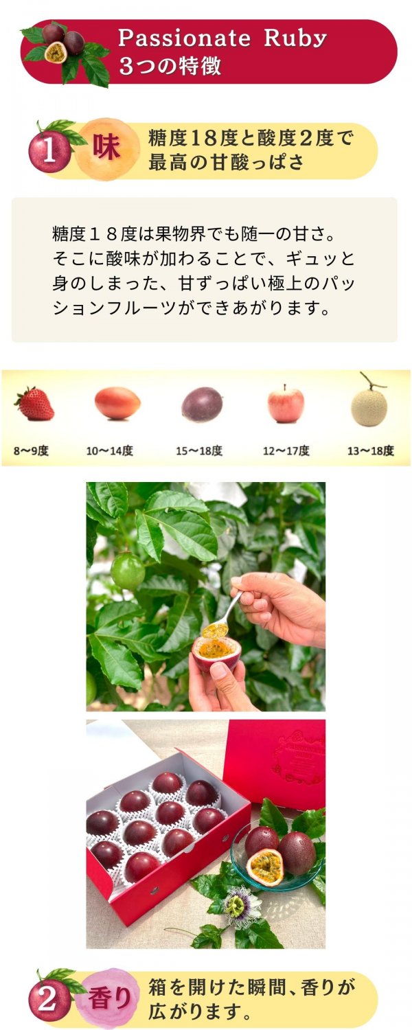 Natural Passion 沖縄（ナチュラルパッションオキナワ）｜パッション