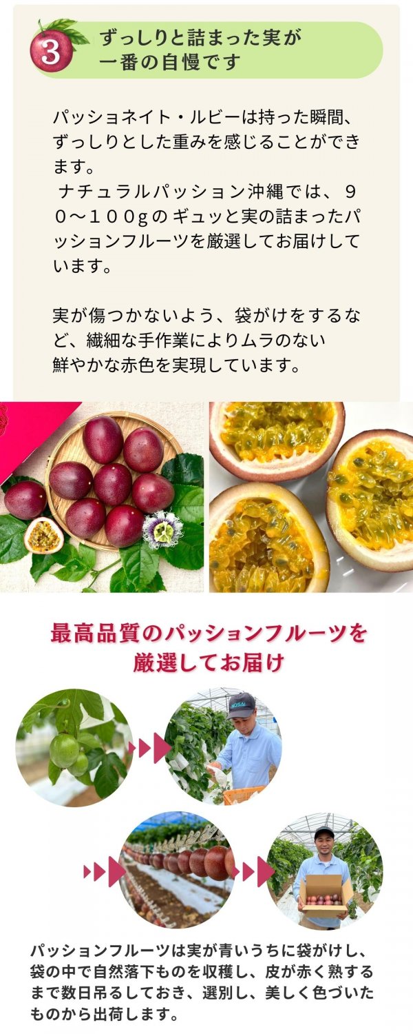Natural Passion 沖縄（ナチュラルパッションオキナワ）｜パッション