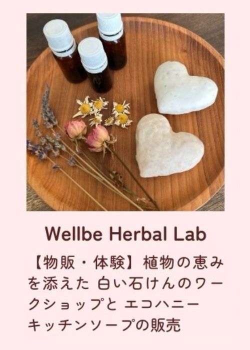 Wellbe Herbal Lab