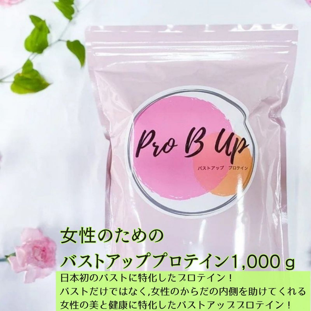バストアッププロテインPro B Up（プロビーアップ）1,000g│日本初のバストに特化したプロテイン！バストだけではなく,女性のからだの内側を助けてくれる,女性の美と健康に特化したバストアッププロテイン